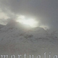 Mortualia圖片照片_Mortualia