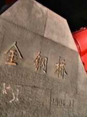 天津的橋線上看_高清完整版線上看_好看的電影