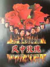 風中玫瑰線上看_全集高清完整版線上看_分集劇情介紹_好看的電視劇