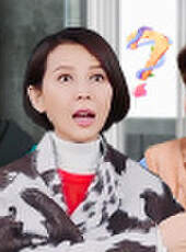 我最愛的女人們最新一期線上看_全集完整版高清線上看_好看的綜藝