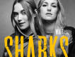 Sharks歌曲歌詞大全_Sharks最新歌曲歌詞