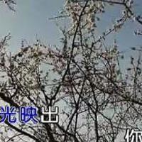 鄭惠銘圖片照片_鄭惠銘