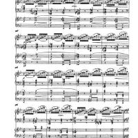 Nepomuk Fortepiano Quintet圖片照片_照片寫真