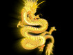金龍圖片照片
