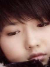失蹤的韓左左（微電影）線上看_高清完整版線上看_好看的電影
