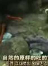 金炳萬的叢林法則最新一期線上看_全集完整版高清線上看_好看的綜藝