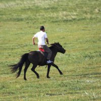 馬馳騁&吳澤鵬圖片照片_馬馳騁&吳澤鵬