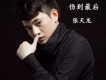 如你隨行歌詞_張天龍如你隨行歌詞
