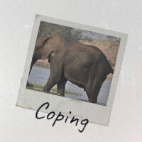 Coping