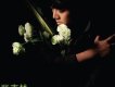 張志林歌曲歌詞大全_張志林最新歌曲歌詞