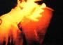 Instrument Soundtrack專輯_FugaziInstrument Soundtrack最新專輯