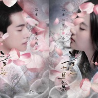 楊洋&金彪圖片照片_楊洋&金彪