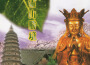 妙蓮華最新歌曲_最熱專輯MV_圖片照片