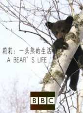 BBC：莉莉 一頭熊的生活線上看_全集高清完整版線上看_分集劇情介紹_好看的電視劇