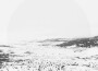 The Journey Tapes (Reworked)專輯_Ed CarlsenThe Journey Tapes (Reworked)最新專輯