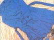 Famous Blue Raincoat