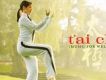 Tai Chi 太極