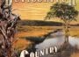Country Heroes專輯_devildriverCountry Heroes最新專輯