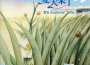 螢火蟲樂隊最新歌曲_最熱專輯MV_圖片照片