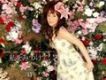Savage Genius歌曲歌詞大全_Savage Genius最新歌曲歌詞