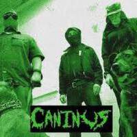 Caninus圖片照片_Caninus