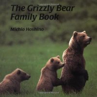 grizzly bear圖片照片_grizzly bear