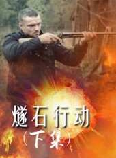 最新2013槍戰電影_2013槍戰電影大全/排行榜_好看的電影