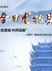 最新2020電視劇_好看的2020電視劇大全/排行榜 - 蟲蟲電視劇