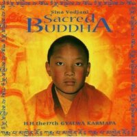 Sina Vodjani圖片照片_Sina Vodjani
