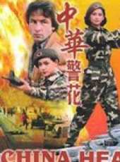 胡慧中演過的電影電視劇線上看_影視作品大全_好看的明星
