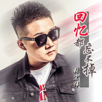 張宏偉歌曲歌詞大全_張宏偉最新歌曲歌詞