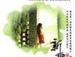 聽遍中國系列之1-新疆音樂