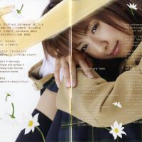 love solfege圖片照片_love solfege
