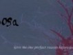 Mimosa歌曲歌詞大全_Mimosa最新歌曲歌詞