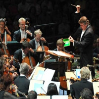 The DeIano Orchestra圖片照片_The DeIano Orchestra