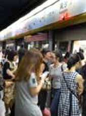 遼寧新聞最新一期線上看_全集完整版高清線上看 - 蟲蟲綜藝