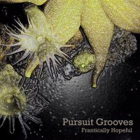 Pursuit Grooves最新專輯_新專輯大全_專輯列表