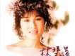 林慧萍歌曲歌詞大全_林慧萍最新歌曲歌詞