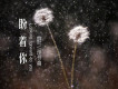 群可歌曲歌詞大全_群可最新歌曲歌詞