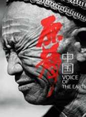 共和國血脈線上看_全集高清完整版線上看_分集劇情介紹_好看的電視劇