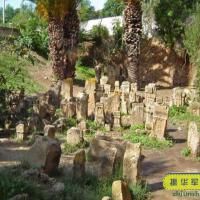 Tophet圖片照片_Tophet