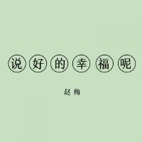 趙梅最新專輯_新專輯大全_專輯列表