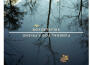 The Great Wide Open專輯_Funeral for a FriendThe Great Wide Open最新專輯