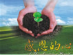 小草詩歌歌曲歌詞大全_小草詩歌最新歌曲歌詞