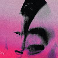 the voicenotes (español)