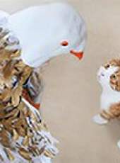 花花與三貓CatLive 2019最新一期線上看_全集完整版高清線上看_好看的綜藝