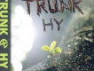 TRUNK