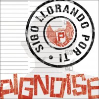 Pignoise圖片照片_Pignoise