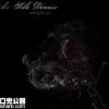The Silk Demise圖片照片