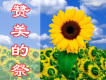 讚美的祭